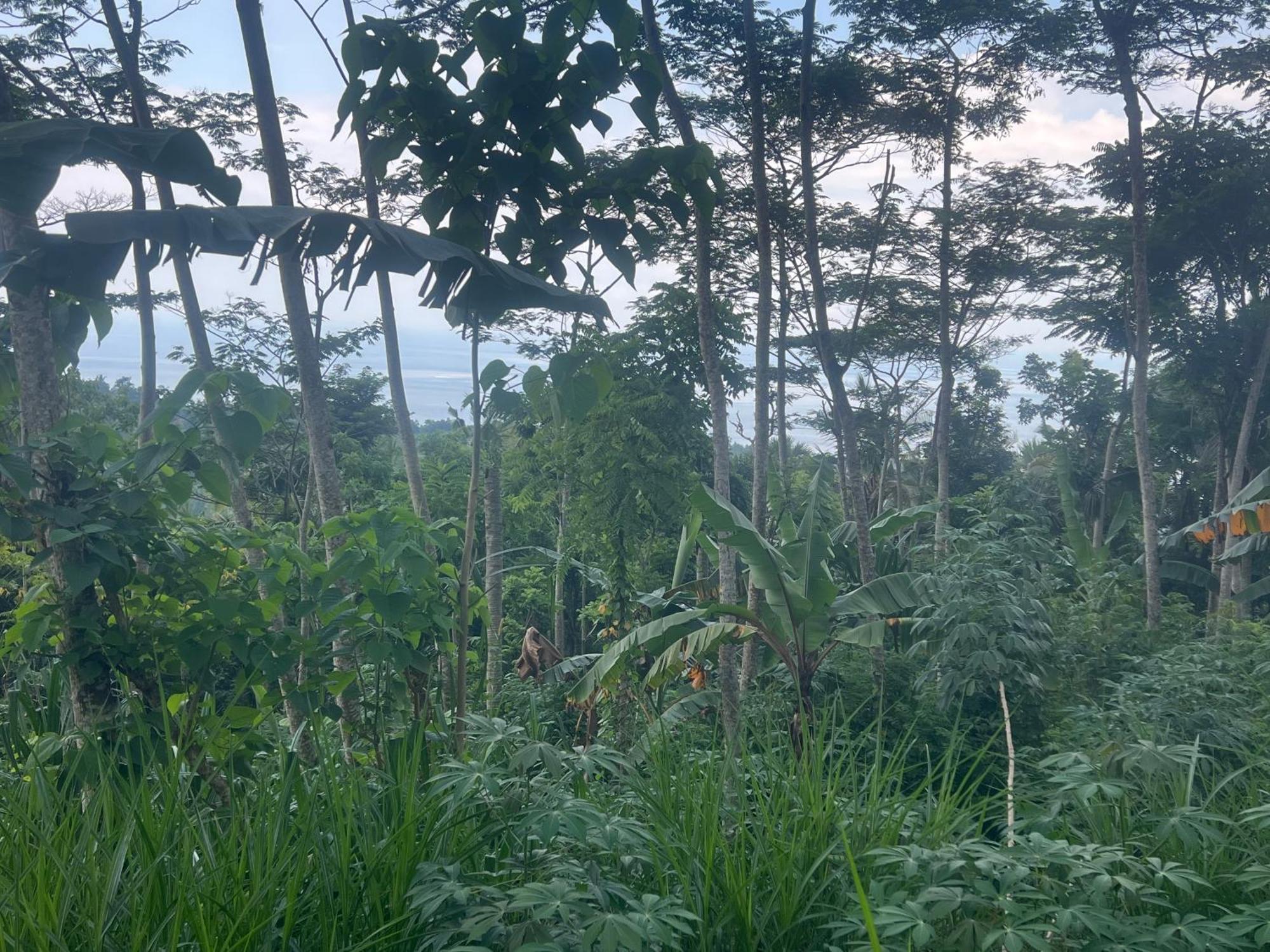 Pondok Manca Undisan Esterno foto